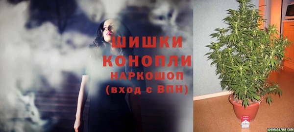 экстази Богданович