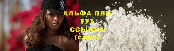 экстази Богданович