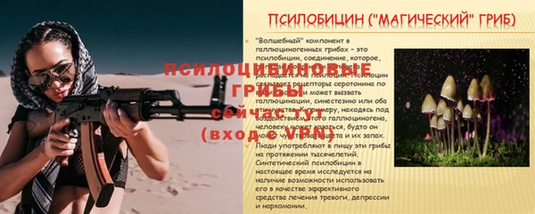 амфетамин Белокуриха