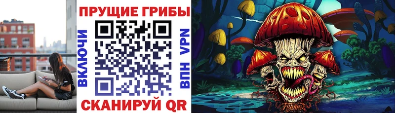 Псилоцибиновые грибы MAGIC MUSHROOMS магазин продажи наркотиков omg ONION Бикин